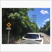 ヤンバルの旅