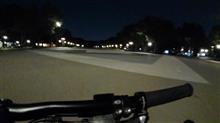 今夜も徘徊です