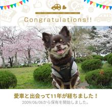 祝！愛犬もん太１１歳...。