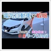 蝦眼電子サイドミラー付けたよ♪