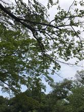 散歩