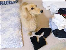 らーちゃんとの思い出㉙