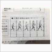 一般人のお年を召した方で、ア ...