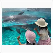 水族館・・・・