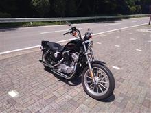 スポーツスターが拗ねました続き