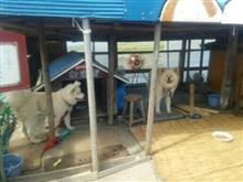 わさおのご冥福をお祈りします わさおのご冥福をお祈りします