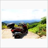 バイクで森林浴