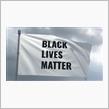 自称差別主義者の愚痴です　Black Lives Matter　これって将来Japanese Lives Matterになるのでは？　愚痴です