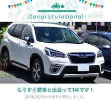 愛車と出会って1年！