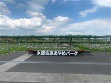 千葉県の最果てへ…んん？ちょっとごめん‼︎