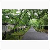 雨の京都へ