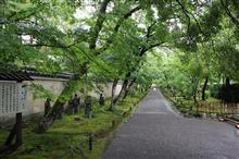雨の京都へ
