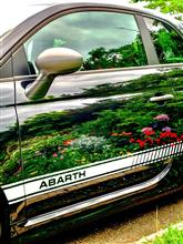 ABARTH595 久しぶりの晴れ間に。