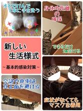 昔々あるところに…