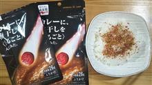 《 CR休業連休第五弾 》カレーに梅干し・・・《 九連休第四日目 》