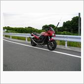 今日までが良い天気だそうです。