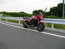 今日までが良い天気だそうです。