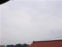 ６月１９日　３連休の初日な金曜日、おはよ～♪
