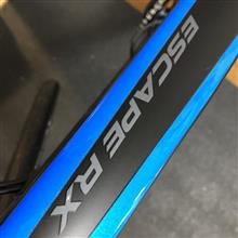 新しい自転車