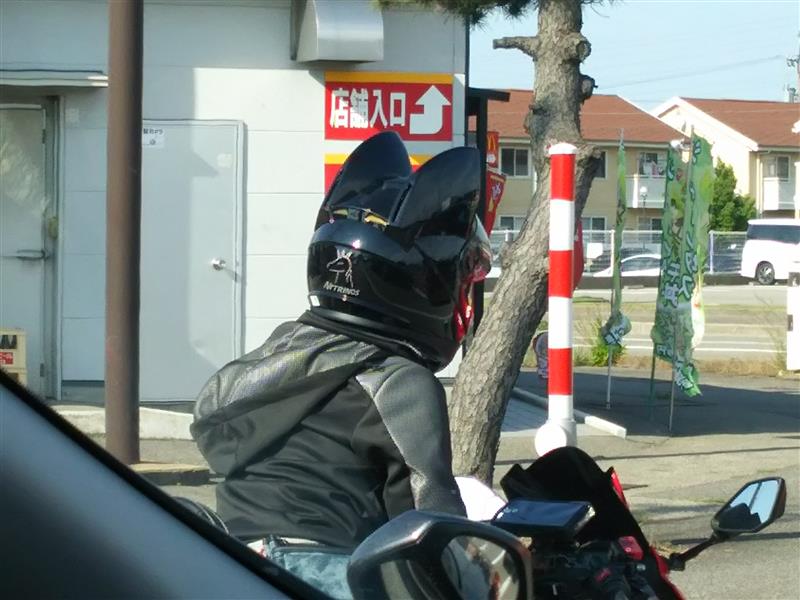 ちょこっとおみかけしたバイク バットマン ネコ それともウサギ The Tallのブログ Ride Or Die みんカラ