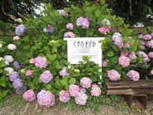 2020年6月のRBK定例運転会に参加 2020年6月のRBK定例運転会に参加