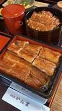 美味しいうなぎ屋さん