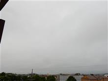 ６月２５日　梅雨空の続く木曜日、おはよ～♪
