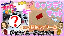 こにぃ&amp;あかねのフロアマットでCARイメチェン♡