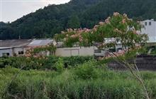 粟郡 伊沢の里 日帰り温泉ドライブ