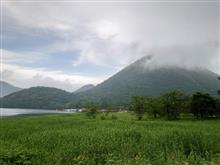 苺の培養土運び