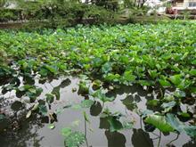 平日休みの雑記的な