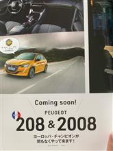 新型208&amp;2008 
