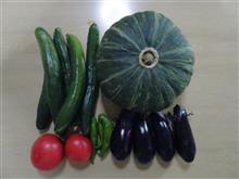 夏野菜をいただきました！
