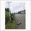 シクロクロスを見に静岡へ行ってきた。