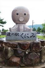 国東　長崎鼻の紫陽花