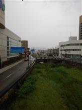 本日は
