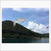 目指せ！夏の丹後半島！ オフ ...