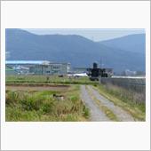 2020年6月18日(木)松 ...