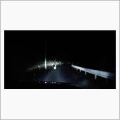 またフォレスターでシカに遭遇
