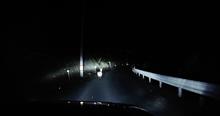 またフォレスターでシカに遭遇