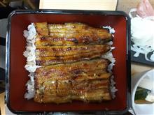 孤独のグルメ Season 3　第1話「北区赤羽のほろほろ鳥とうな丼」うなぎ　鳥料理　川榮　2020.7.3