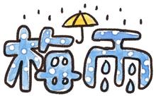 ず～と雨。