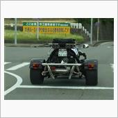 ちょこっとお見かけした…トラ ...