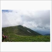 素晴らしき花の稜線、平標山～ ...