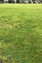 公園の草刈りの日