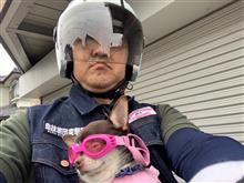 朝イチＴＲＧ