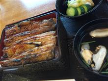 鰻