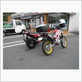 雨は降らなかったので・・・