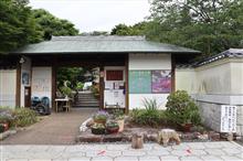白野江植物を散策