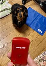 比較的お値打ちなほうのロガーを買いました
